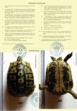 CITES Rückseite