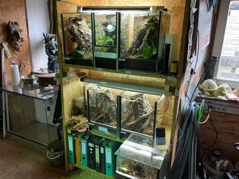 Terrarien