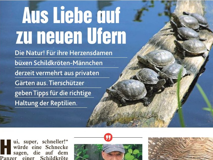 Kronen Zeitung